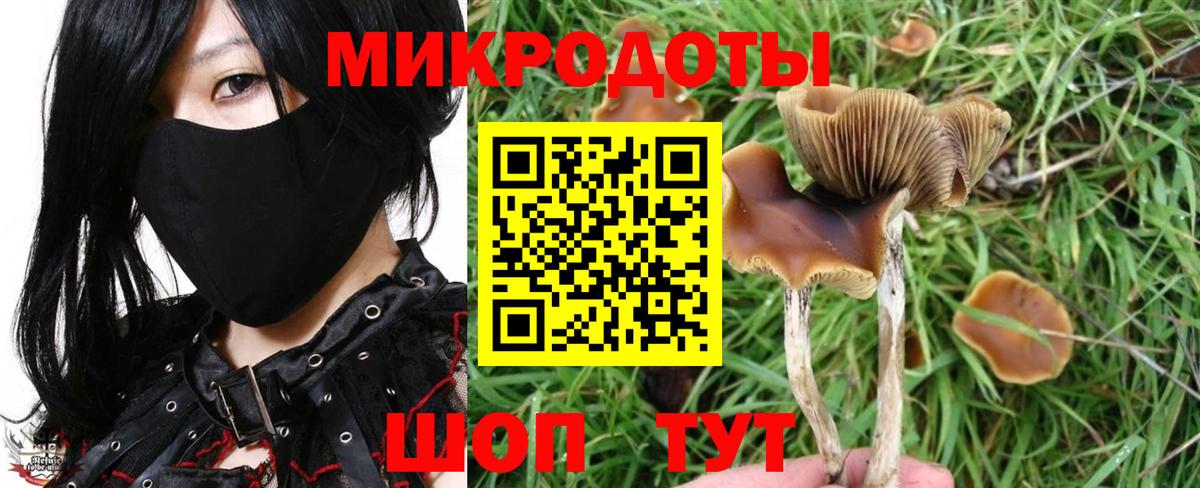 Галлюциногенные грибы Cubensis  Вход с VPN  Морозовск 